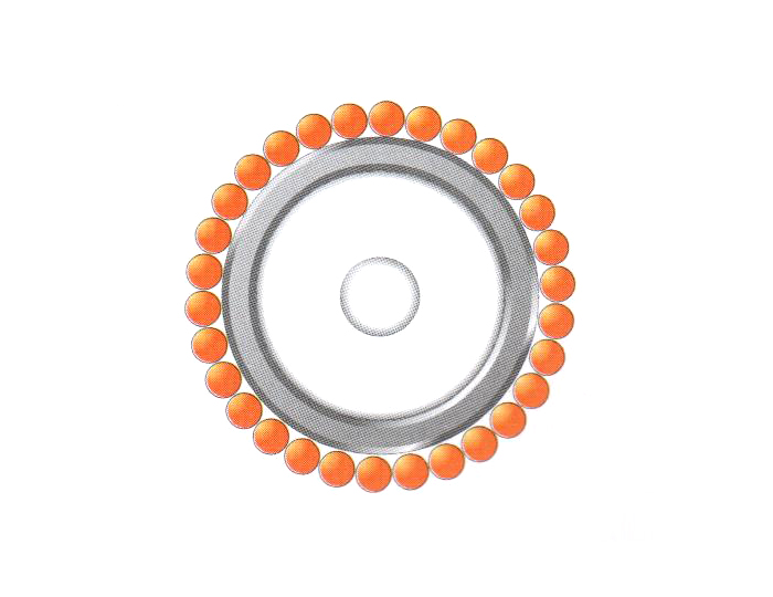 醫(yī)療柔性頻射線